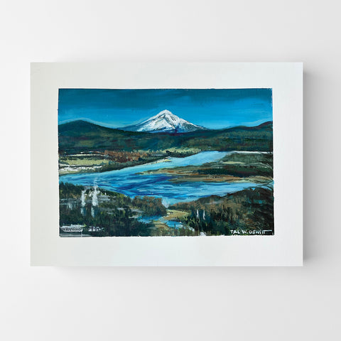 Camas View