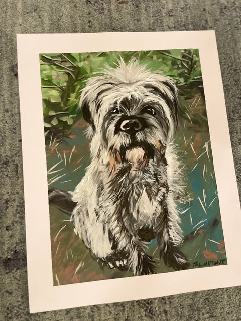 Pet Portrait  Canvas Paper 11 x 14