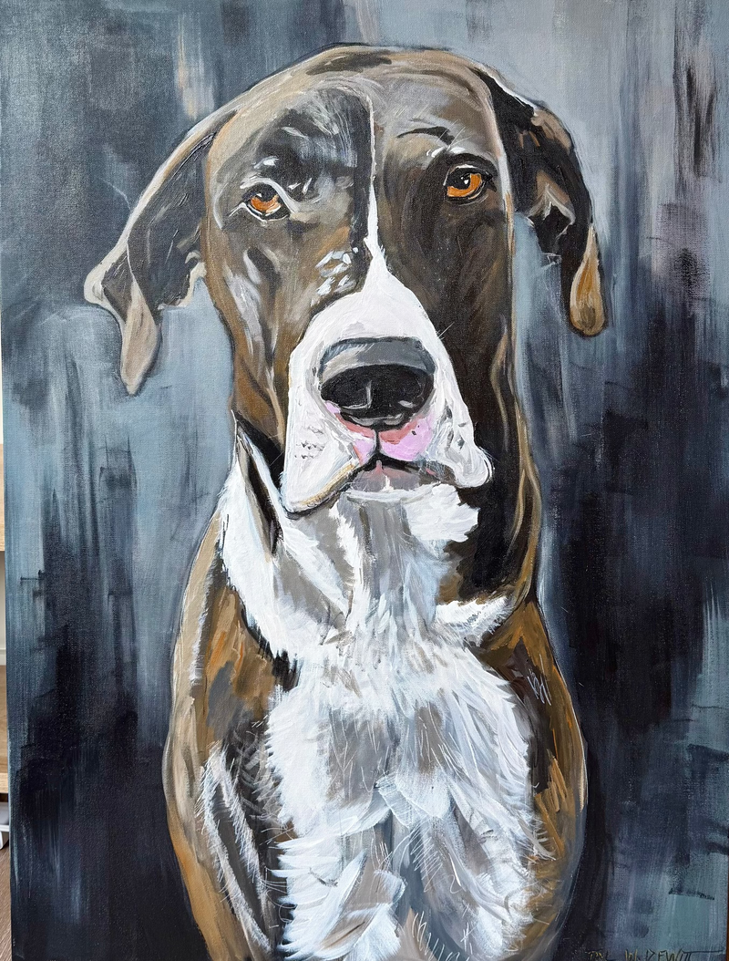 PET PORTRAITS