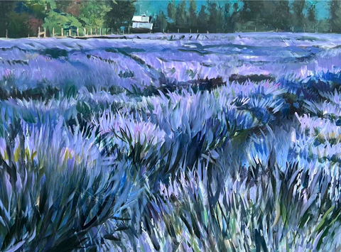 Framed - Lavender Fields Print